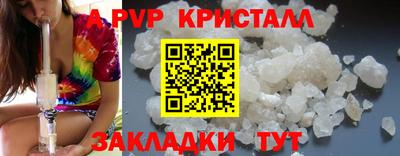 гашик Будённовск