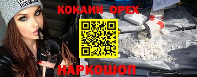 гашик Будённовск