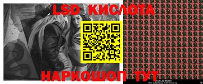 гашик Будённовск