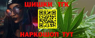 гашик Будённовск