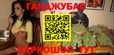 гашик Будённовск