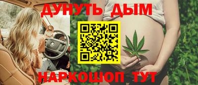 гашик Будённовск